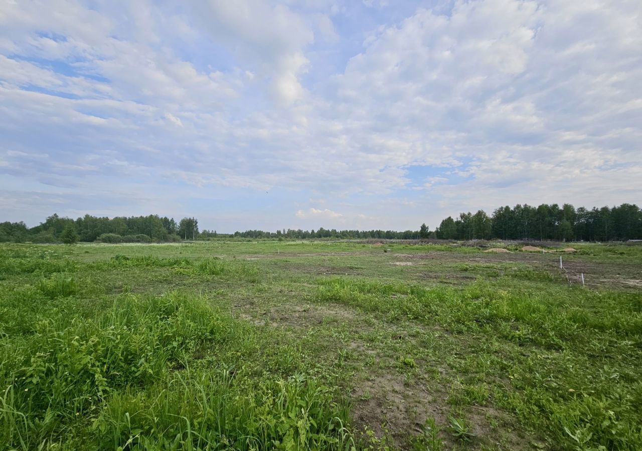 земля городской округ Богородский д Тимково ул Околица Электрогорск фото 1