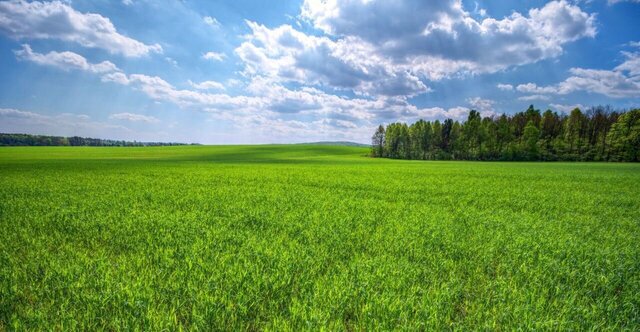 земля р-н Курский д Волобуево Камышинский сельсовет, Курск фото