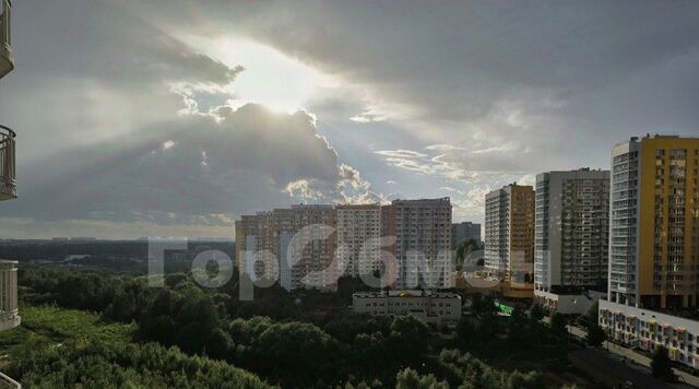 ул Березовая 18 Домодедовская фото