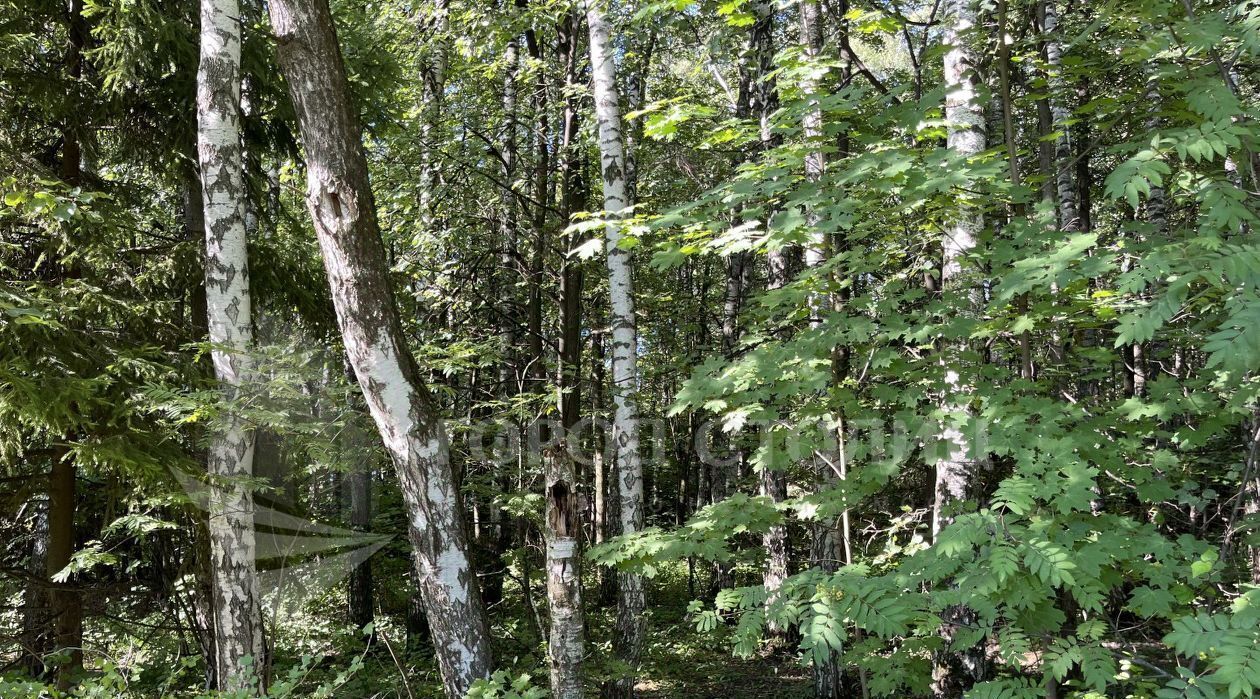 земля городской округ Ленинский д Малое Видное Домодедовская, 3А фото 4