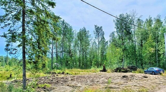 земля Токсовское городское поселение, Новое Токсово СНТ фото