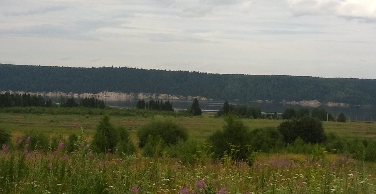 земля р-н Пермский д Заборье ул Вишневая 11 Сылва фото 4