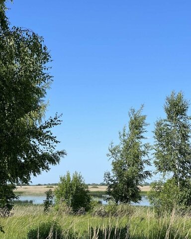 земля д Большая Листовка ул Набережная Псков, Логозовская волость фото