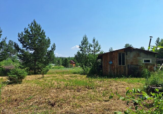 садоводческое некоммерческое товарищество Русь фото