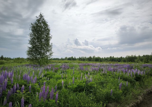 46 км, с. Карпово, Егорьевское шоссе, Электроизолятор фото