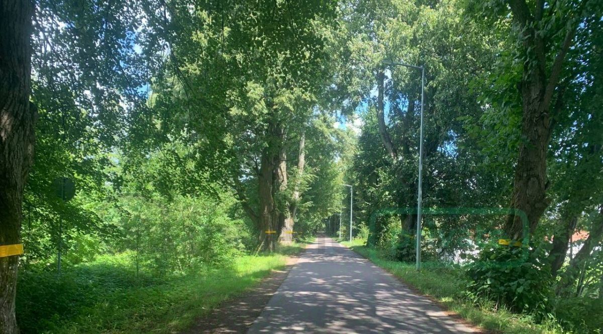 земля р-н Зеленоградский п Куликово ул Солнечная Переславское сельское поселение, Зеленоградский муниципальный округ фото 1