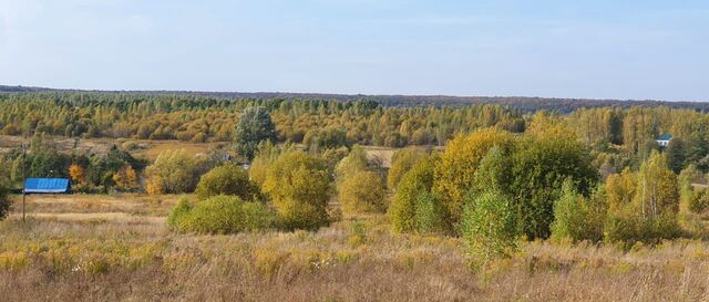 р-н Пролетарский 15, д. Новосёлки фото