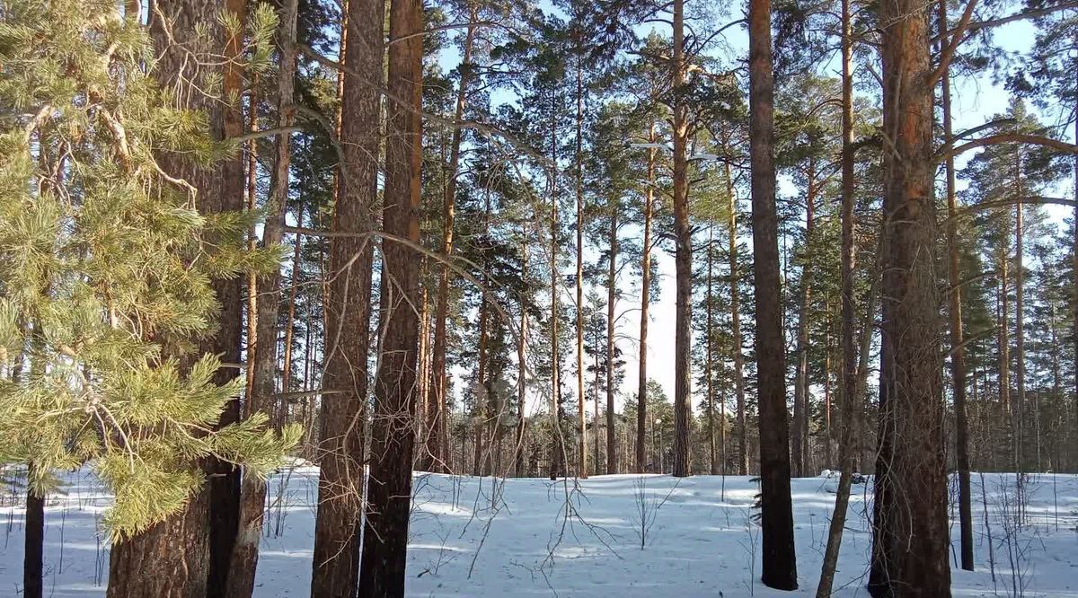 земля р-н Каслинский г Касли ул Чехова Каслинское городское поселение фото 1