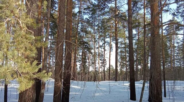 г Касли ул Чехова Каслинское городское поселение фото