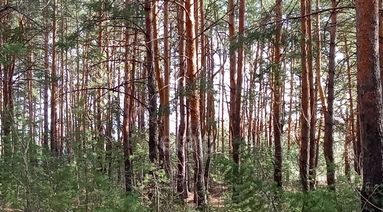 земля р-н Каслинский г Касли Каслинское городское поселение фото 2