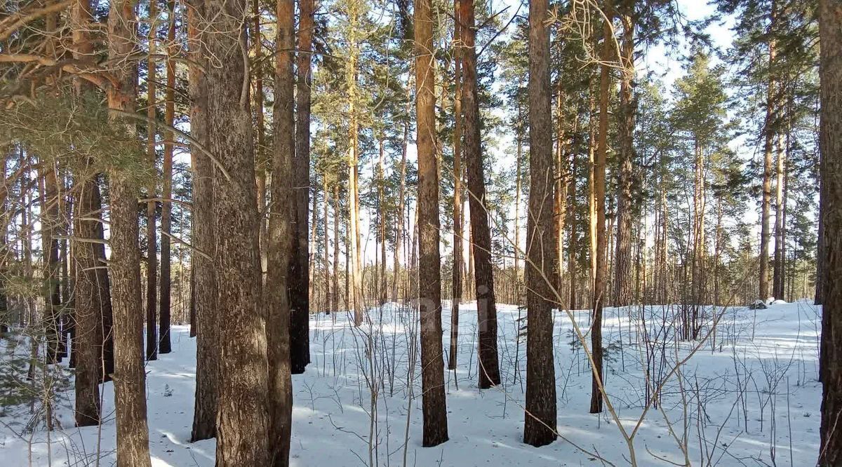 земля р-н Каслинский г Касли ул Чехова Каслинское городское поселение фото 3