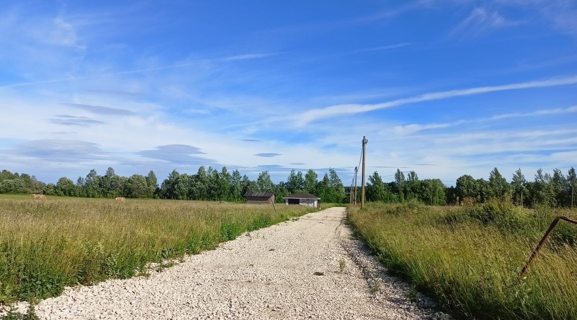 земля р-н Гатчинский д Заборье Разведчика Лысова кв-л фото 5