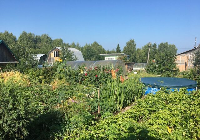 муниципальное образование Город Березники, Соликамск, с. Берёзовка, ул. Мира фото