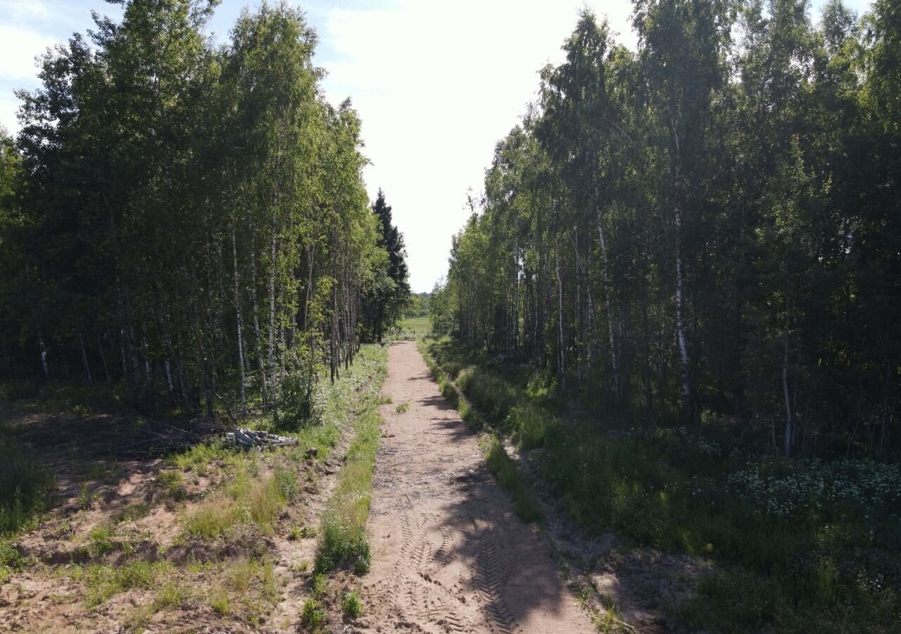 земля городской округ Наро-Фоминский д Ястребово Верея фото 8