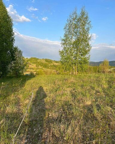 садоводческое товарищество Берёзка фото