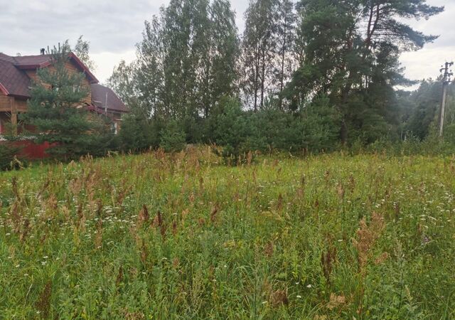 земля Толмачёвское городское поселение фото