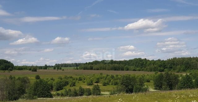 земля д Должиково Яковлевское фото