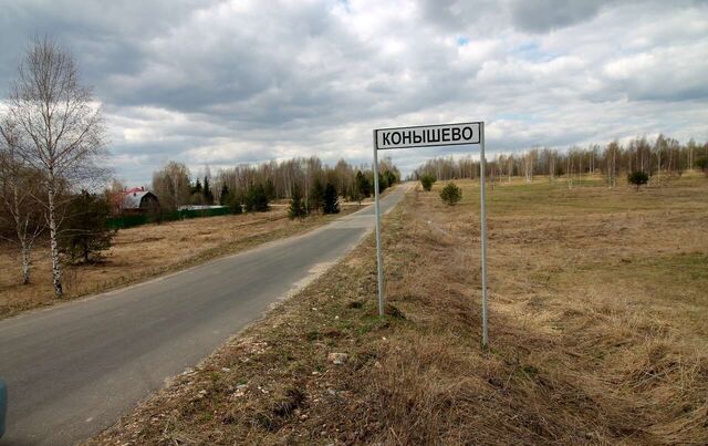 д Конышево ул Третья муниципальное образование Раздольевское, Кольчугино фото