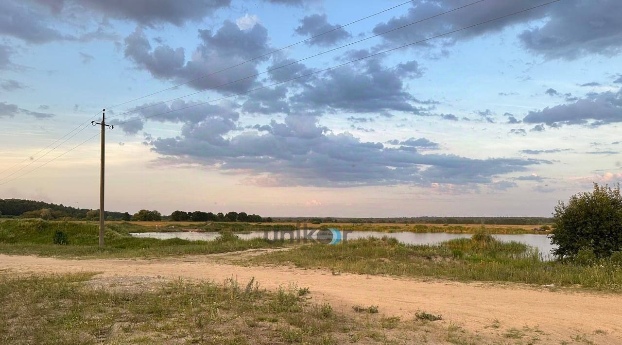 земля р-н Брянский п Новые Дарковичи Новодарковичское с/пос фото 5