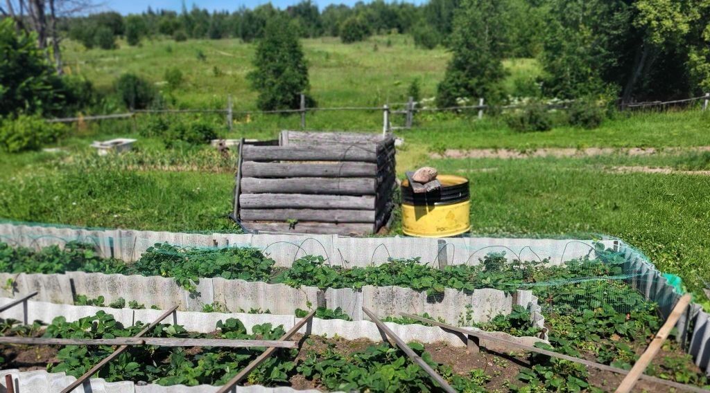 дом р-н Ивановский д Пальмицыно Богданихское с/пос фото 12