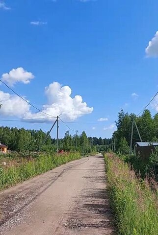 Синявинское городское поселение, Приладожский, садоводческое некоммерческое товарищество Надежда, 11-я линия фото