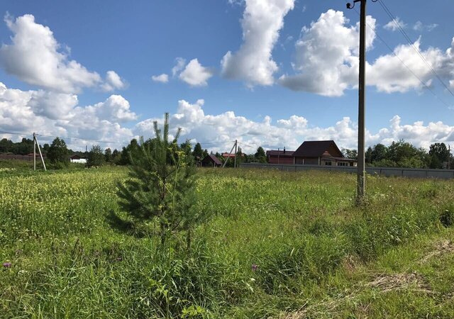 д Нижнее Гуляево ул Луговая Усть-Качка фото