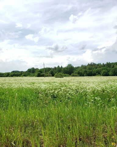 земля д Рамцы Любанское городское поселение, Рябово фото