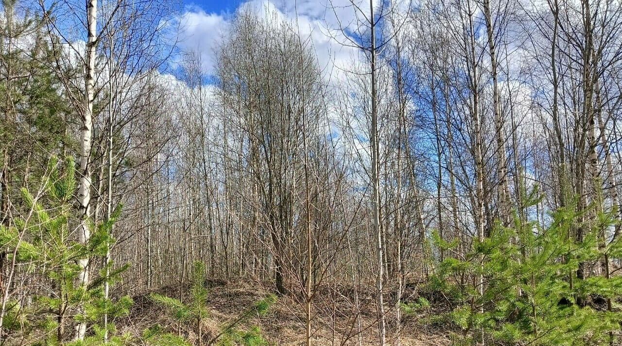 дом р-н Всеволожский массив Рахья ул Счастливая Рахьинское городское поселение фото 5