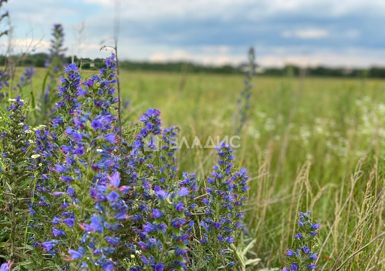 земля городской округ Раменский д Клишева ул Школьная 50 Раменское фото 3