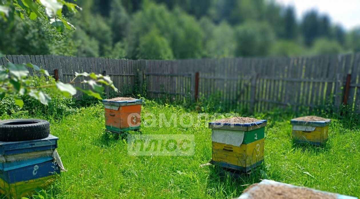 дом р-н Грязовецкий с Минькино ул Новая фото 16