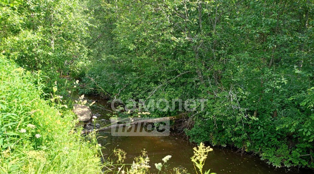 дом р-н Грязовецкий с Минькино ул Новая фото 32