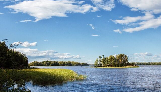 п Красносельское СНТ Синички фото