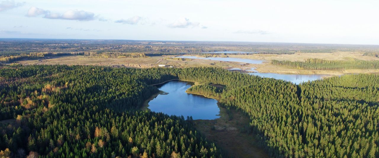 земля р-н Выборгский п Первомайское пос, Сабур-3 СНТ, 24 фото 19