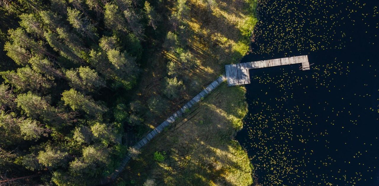 земля р-н Выборгский п Первомайское пос, Сабур-3 СНТ, 24 фото 27