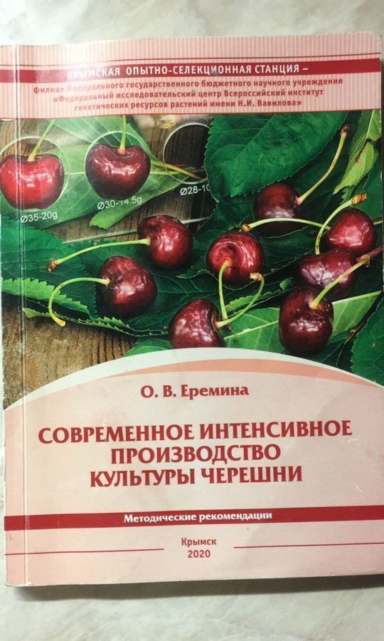 земля р-н Северский ст-ца Новодмитриевская река Афипс фото 1