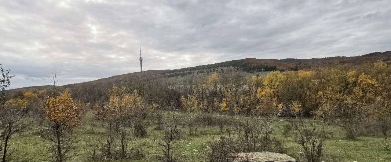 земля г Новороссийск п Верхнебаканский фото 3