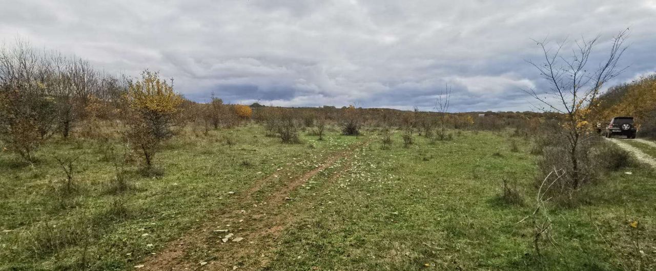 земля г Новороссийск п Верхнебаканский фото 4