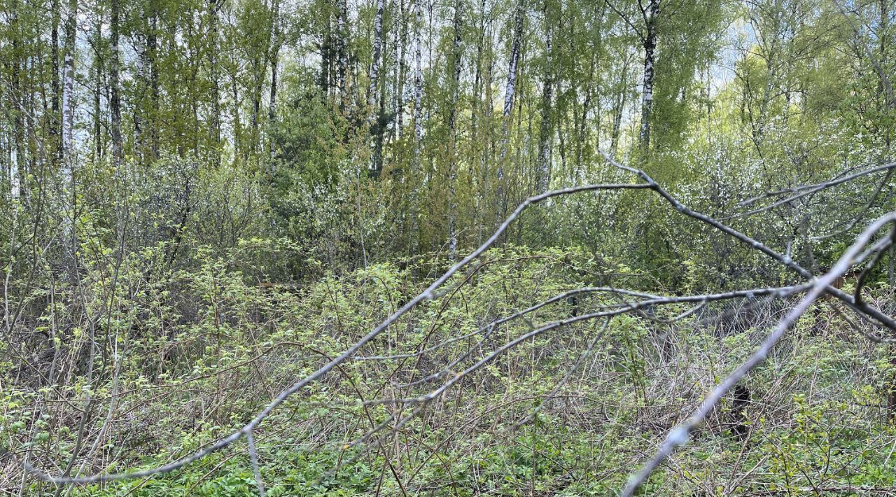 дом р-н Заокский д Скрипово снт Тассовец Страховское муниципальное образование, 103 фото 30