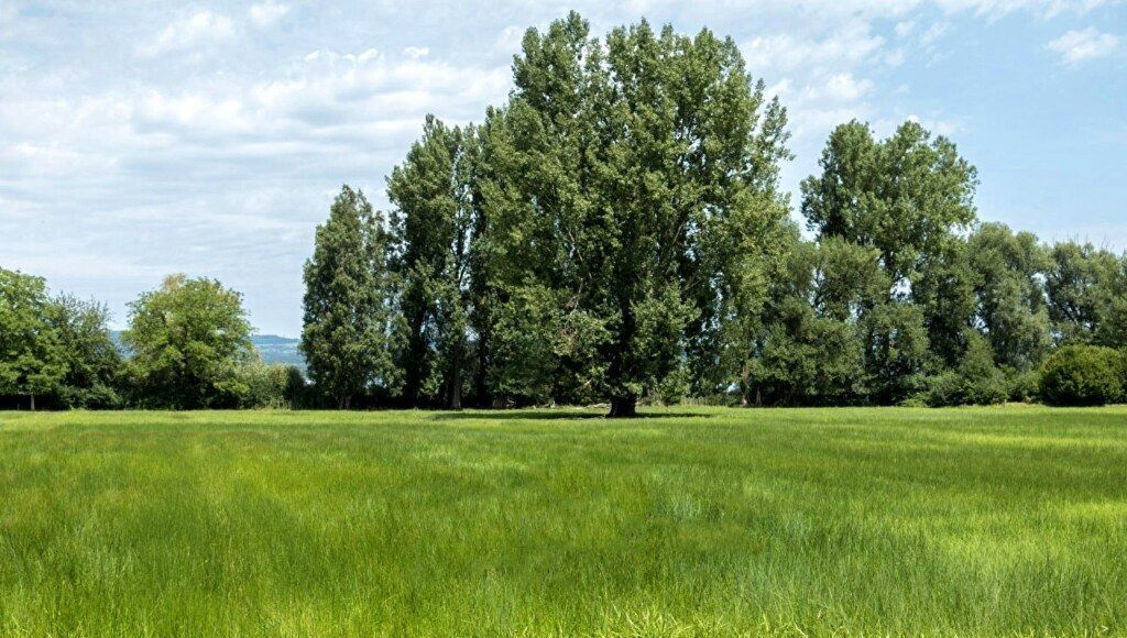 земля городской округ Одинцовский д Таганьково коттеджный пос. Николино, Горки-10 фото 1