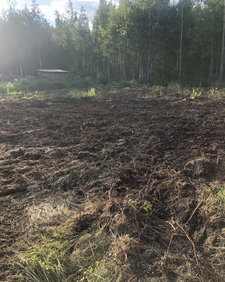 земля городской округ Орехово-Зуевский п Снопок Новый снт Ромашка 3-я линия, Орехово-Зуево фото 4