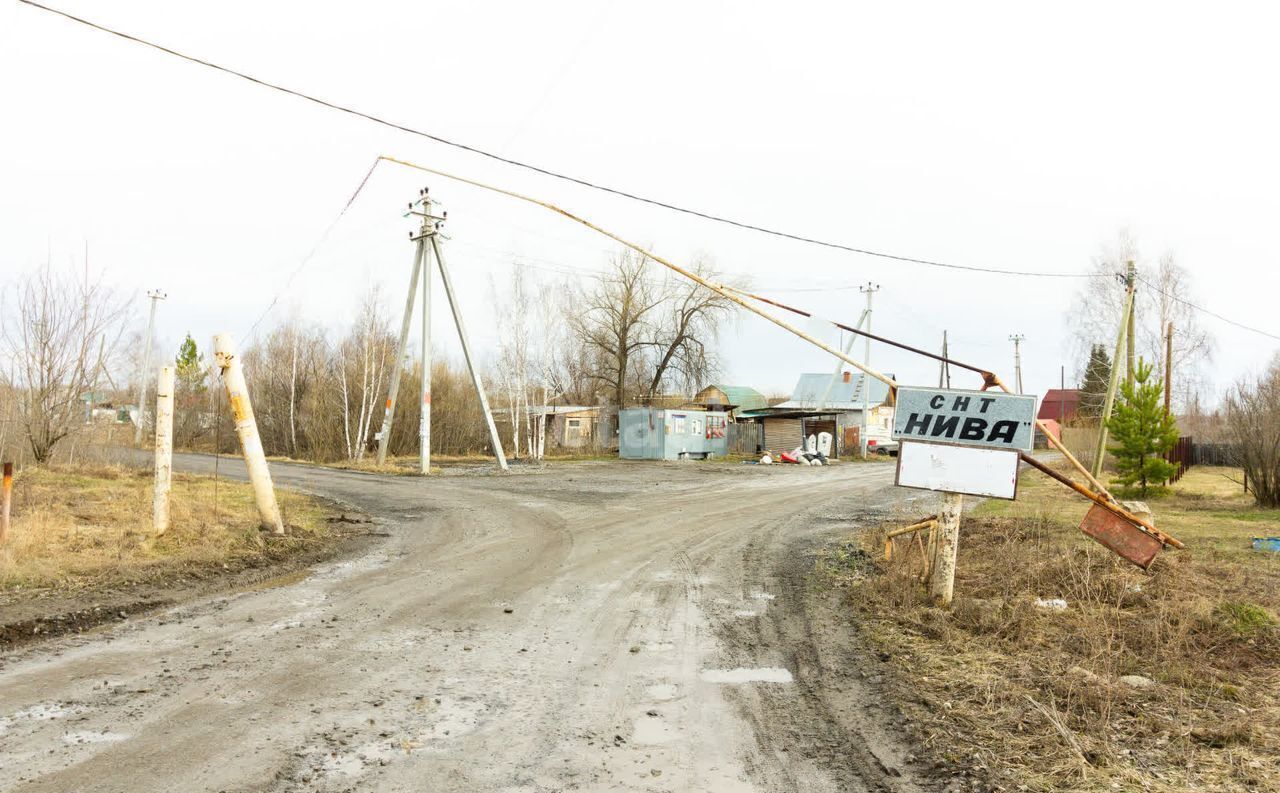 дом р-н Тюменский снт Нива ул Березовая Тюмень фото 19