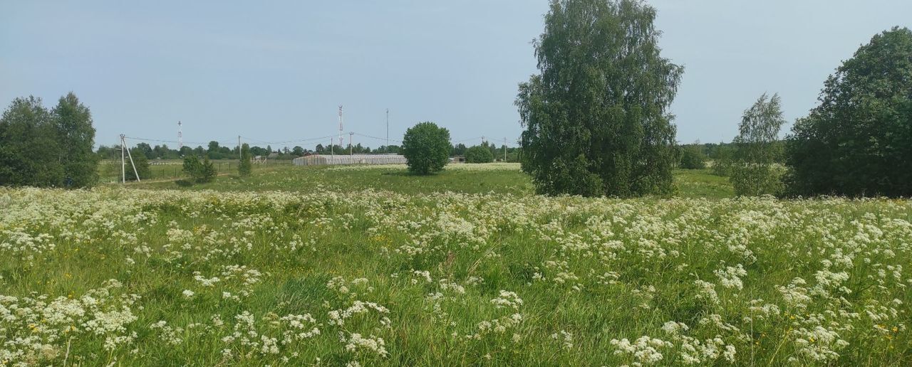 земля р-н Лужский п Толмачево Киевское шоссе, 99 км, Толмачёвское городское поселение, Р-23, 123-й километр фото 2