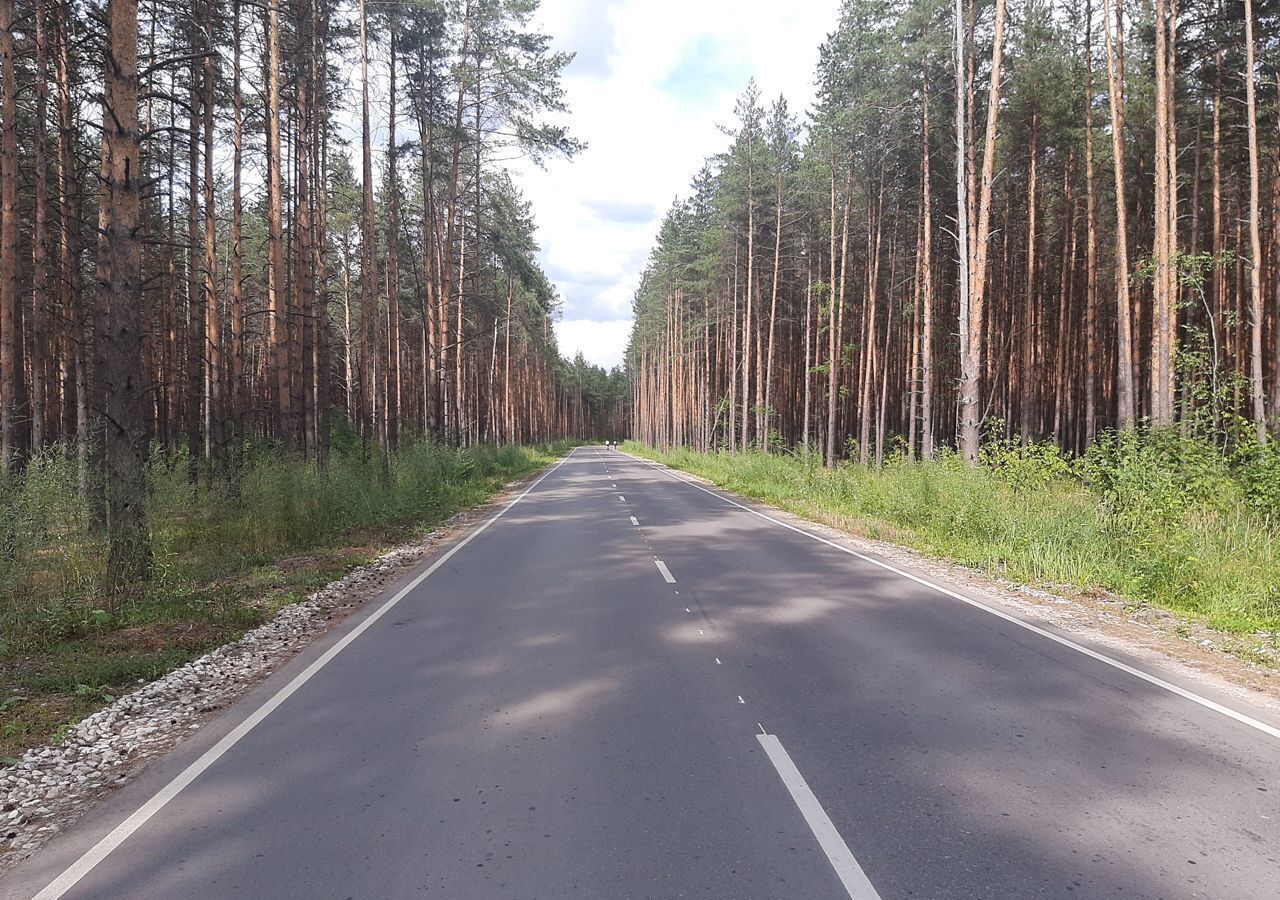 земля городской округ Павловский Посад д Дальняя 54 км, Электрогорск, Горьковское шоссе фото 2