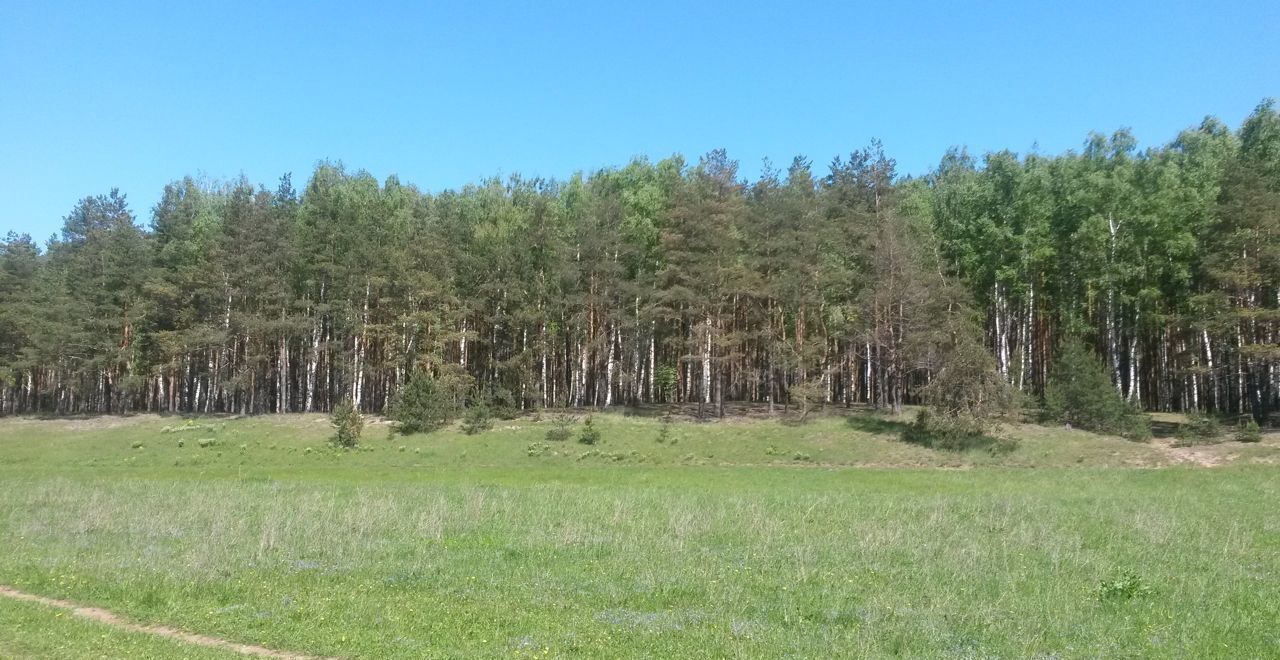 земля городской округ Павловский Посад д Дальняя 54 км, Электрогорск, Горьковское шоссе фото 15