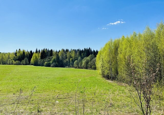 Рогачево фото