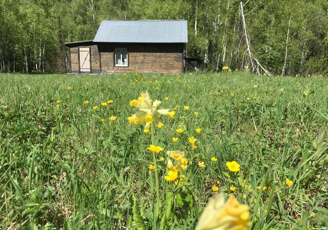 земля с Майорка Чарышское фото