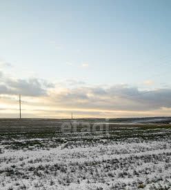 Совхоз Всходы за Ельниками кп фото