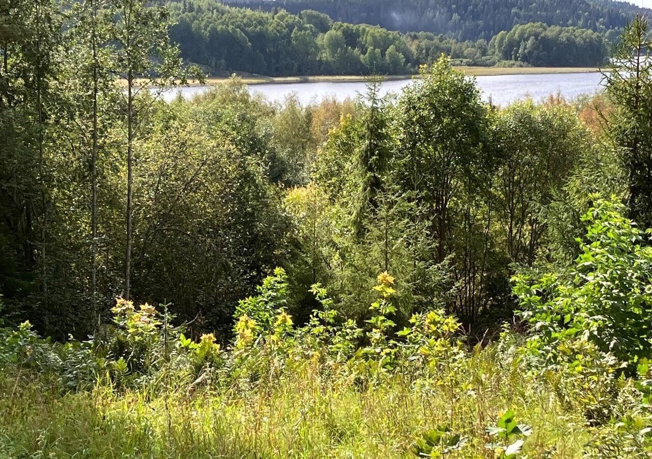 земля г Сортавала Сортавальский р-н, Сортавальское городское поселение фото 10