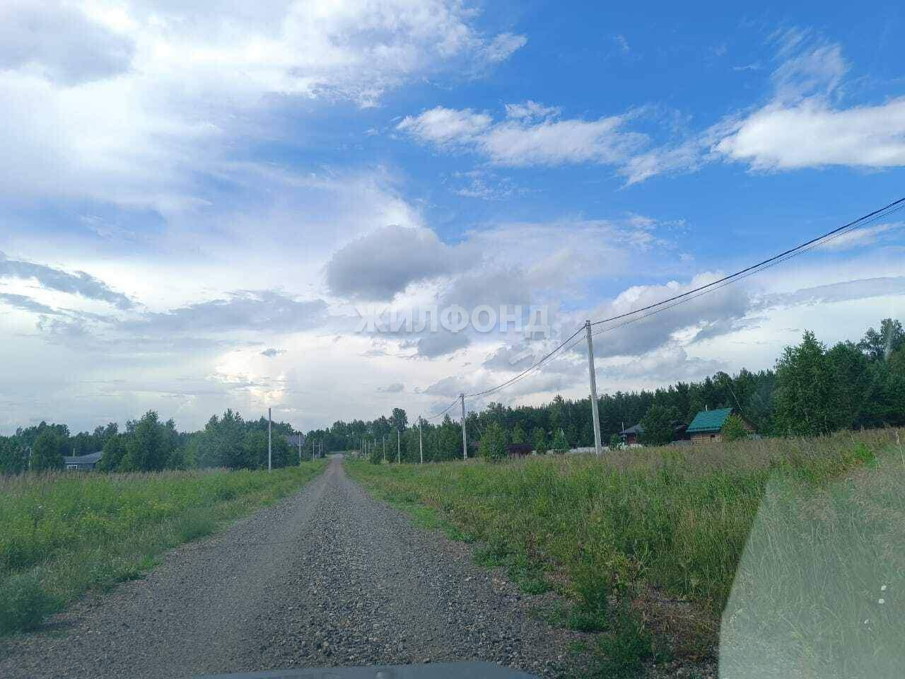 земля р-н Первомайский с Фирсово ул Грибная Санниковский сельсовет фото 6