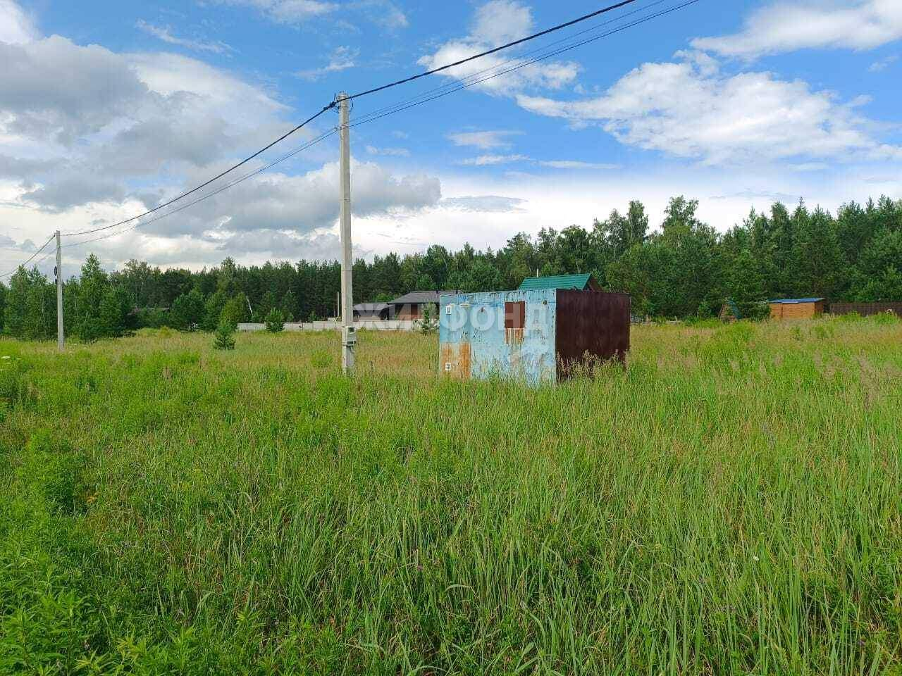 земля р-н Первомайский с Фирсово ул Грибная Санниковский сельсовет фото 9